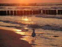 Ostsee Graal-Mueritz 0011