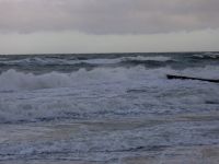 Ostsee Graal-Mueritz 0021