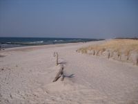 Ostsee Graal-Mueritz 0041