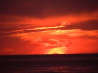 Ostsee Graal-Mueritz 0081