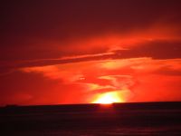 Ostsee Graal-Mueritz 0091