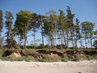 Ostsee Graal-Mueritz 0221