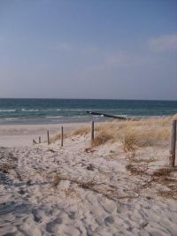 Ostsee Graal-Mueritz 0231