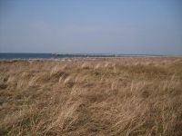 Ostsee Graal-Mueritz 0311