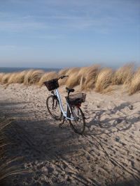 Ostsee Graal-Mueritz 0731