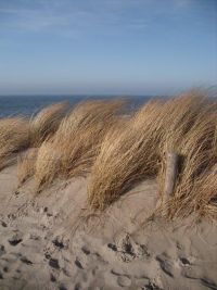 Ostsee Graal-Mueritz 0741