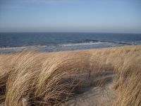 Ostsee Graal-Mueritz 0751