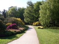 Rhododendron Park Graal-Mueritz 0131