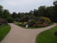 Rhododendron Park Graal-Mueritz 0221