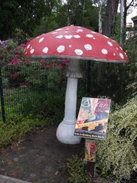 Rhododendron Park Graal-Mueritz 0331