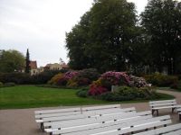 Rhododendron Park Graal-Mueritz 0351