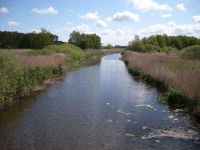 Umgebung Graal-Mueritz 0031