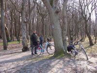 Umgebung Graal-Mueritz 0211