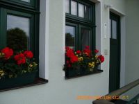 Villa Nordwind Graal-Mueritz 0091