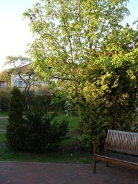 Villa Nordwind Graal-Mueritz 0281