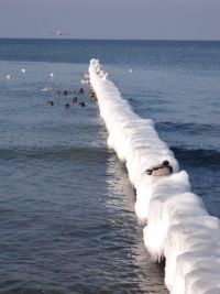 Villa Nordwind Graal-Mueritz Winter 0281