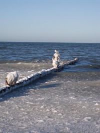 Villa Nordwind Graal-Mueritz Winter 0361