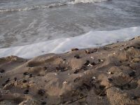 Villa Nordwind Graal-Mueritz Winter 0481.jpg