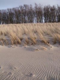 Villa Nordwind Graal-Mueritz Winter 0491.jpg